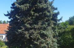 Lieblingsgast - Photo 6