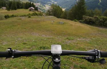 Residence Raethia tra Bormio e Livigno & Casa Emma Rasin new opening - Foto 60