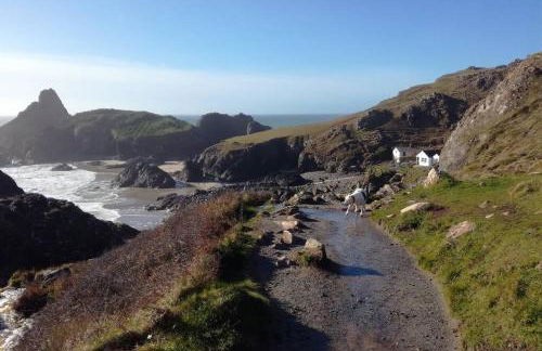 Farm accommodation - The Lizard Peninsula, Cornwall - Foto 27