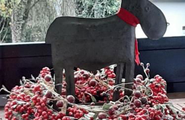 Ferienwohnung Zeitlos, gigantischer Seeblick, WLAN, gerne mit Hund - Foto 10