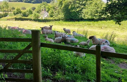 Orchard Lodge - Photo 31