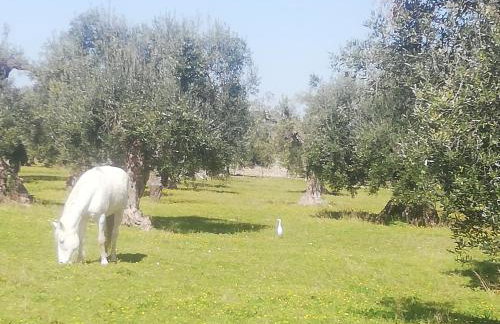 Le Grotte di Sileno - Foto 50