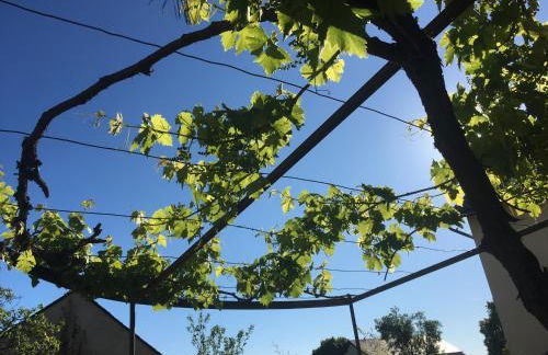 L'Autre Maison - Photo 13