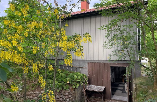 4 Person Holiday Home in 38472 - Foto 58
