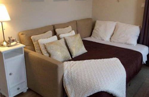 Rosebury Cottage 1 bedroom Free Street parking-5min from Colmar - Photo 11