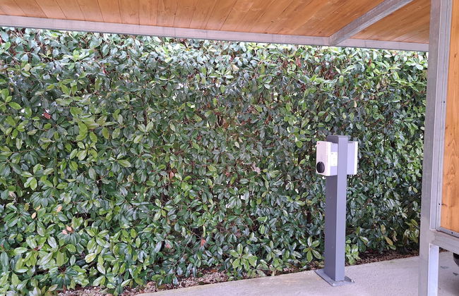 Family Farm Soc. Agricola - Agriturismo - Foto 58