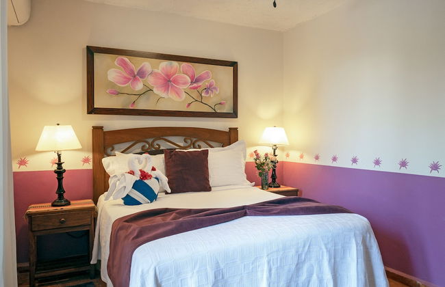 Casa Mulder - Photo 9