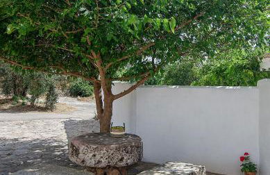 Cortijo Alzamigaja - Foto 24