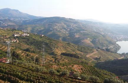 Casa da Quinta do Porto - Foto 48