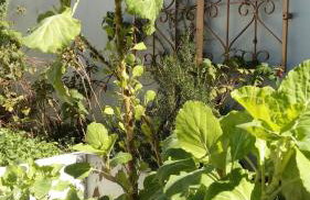 Norte Hospedagem - Photo 18