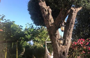 Il Vicolo Palinuro - Photo 11