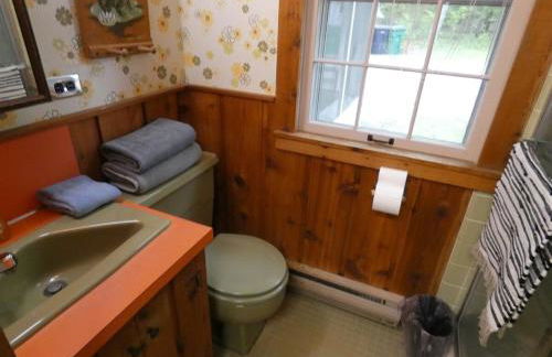 Classic Lake Home on Torch Lake - Foto 21