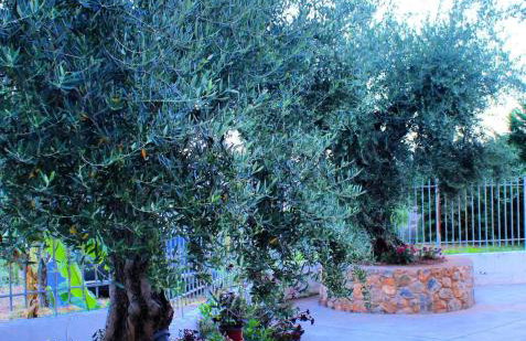 SUNSET Luxury Accommodation - Foto 31