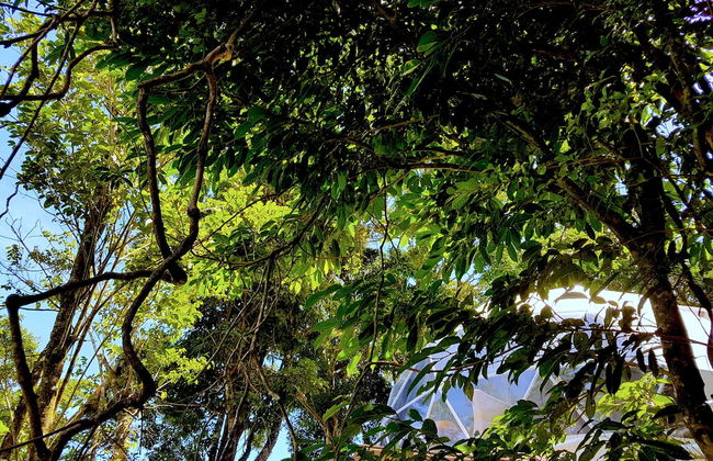 Chira Glamping Resort Monteverde - Foto 61