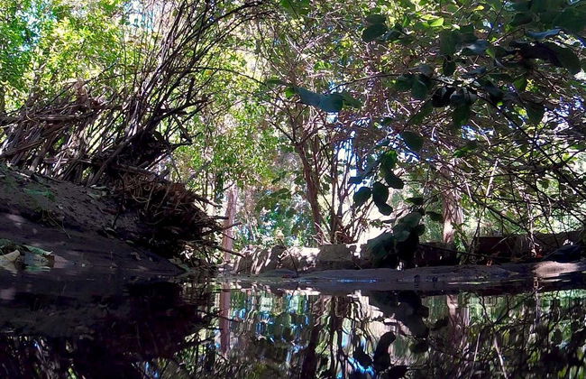 Noite em acampamento suspenso do oásis de Pica - Foto 6