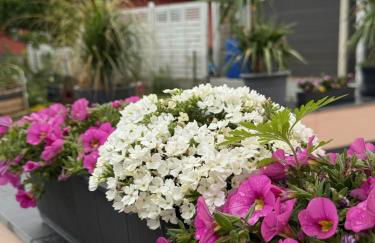 Kleine Idylle - Foto 9