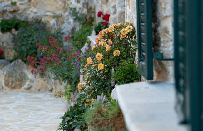 Holiday Home Leptir - Foto 27