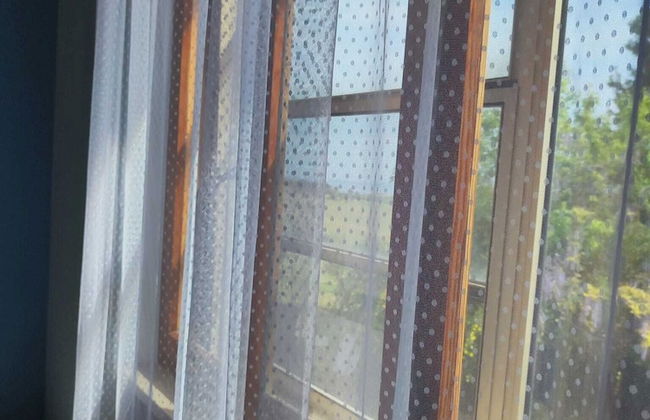 Rickymary House, Pet Friendly - Photo 20