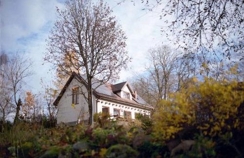 Park Wilkasy - Foto 23