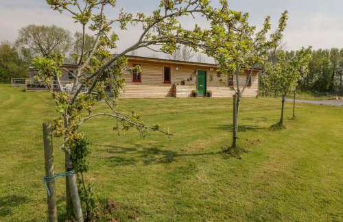 Down the Rabbit Hole - Foto 1