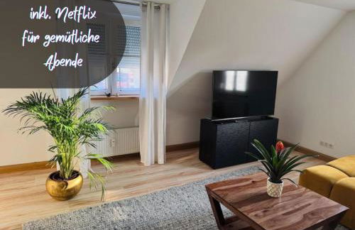 Main-Nest Volkach - Foto 8