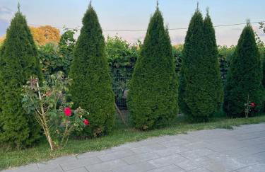 La casa dei tre platani - Foto 12