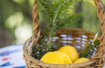 U Ciousu by Ligurian Life APPARTAMENTI IN AGRITURISMO - Foto 53