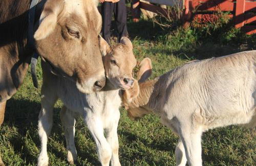 Aniyor Apartment Loft - Foto 14