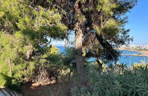 Stella's Petite Boîte - Foto 28