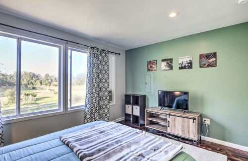 Havelock Country Cabin on Working Horse Farm! - Foto 10