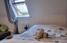 T1 rénové 29 m2 cosy confort ! - Foto 16