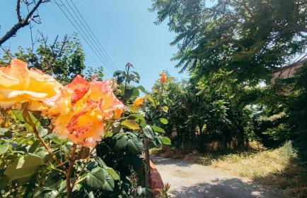 Casa Leo Encanto rural con gran terraza en La Puebla de Castro - Foto 19