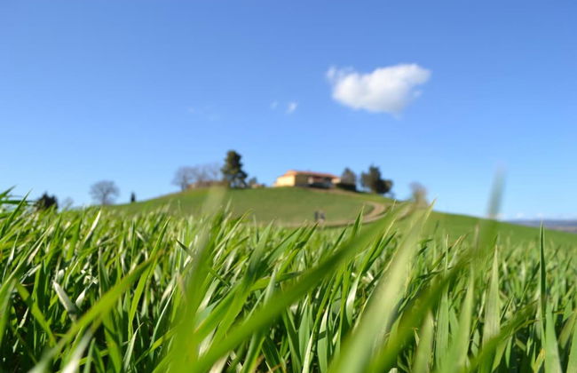 Poggio alla Pietra 26 - Foto 55