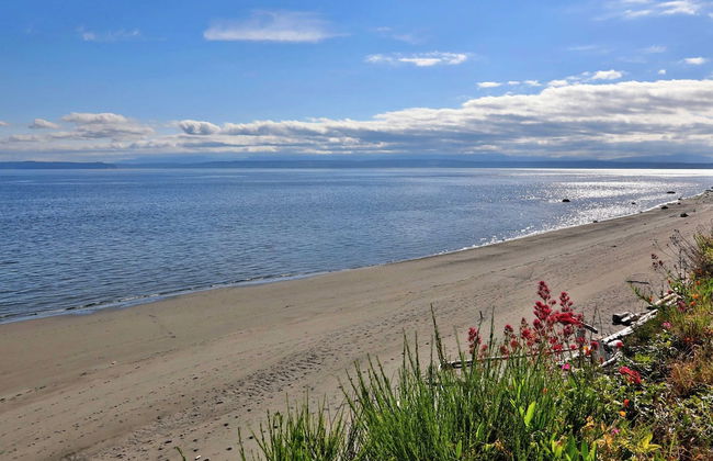 Beachfront Condo - Mutiny Bay by Avantstay Views - Foto 33