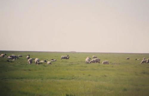 La baie du Mont Appartement de vacances proche du Mont Saint Michel - Foto 43
