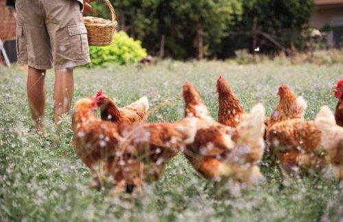 Akrolithos Luxury Suites & Spa - Foto 21