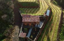 Finca Hortensia - Foto 7