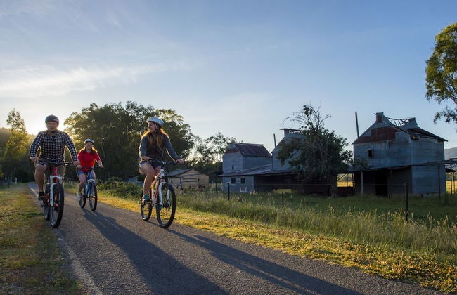 Mystic View Cottage Wandiligong - Foto 13