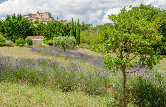 3 bedroom House in Saint-Martin-de-Castillon with private pool and garden - Photo 29