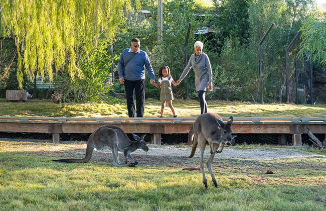 Billet pour le San Diego Zoo Safari Park - Photo 5