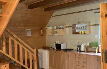 Domki pod Kiczerą w Baligrodzie, Bieszczady - Foto 24