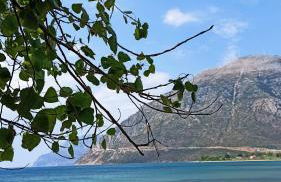 Nafpaktos cottage by the sea for travelers and dreamers! - Foto 11