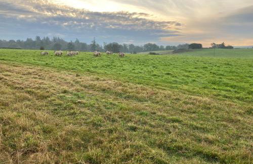 Westertonhill Newbuild Lodges with Private Hot Tub Hire Available - Foto 41