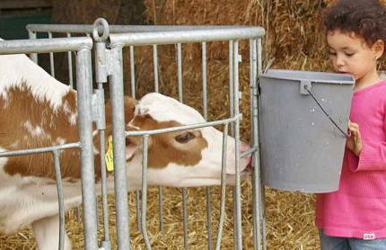 Ferienbauernhof Herrmann - Foto 30