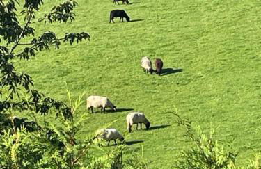 Stilvolles Ferienhaus Chalet 1750 im Allgäu - 200qm - beste Ausstattung - traumhafter Blick - bis 8 Personen - Foto 11