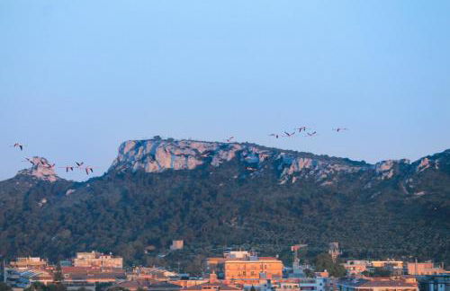 Flamingo's way Cagliari - Foto 25