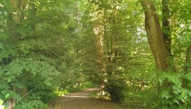 Le gite de Diane - Foto 5, Garden view