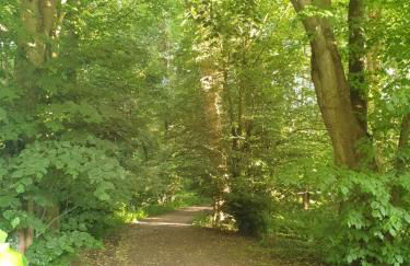 Le gite de Diane - Foto 5