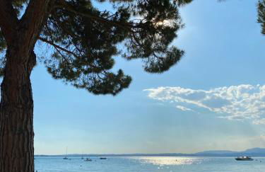 Apt Gardasee Lazise Cola - Foto 33