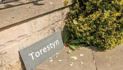 Torestyn - Foto 2